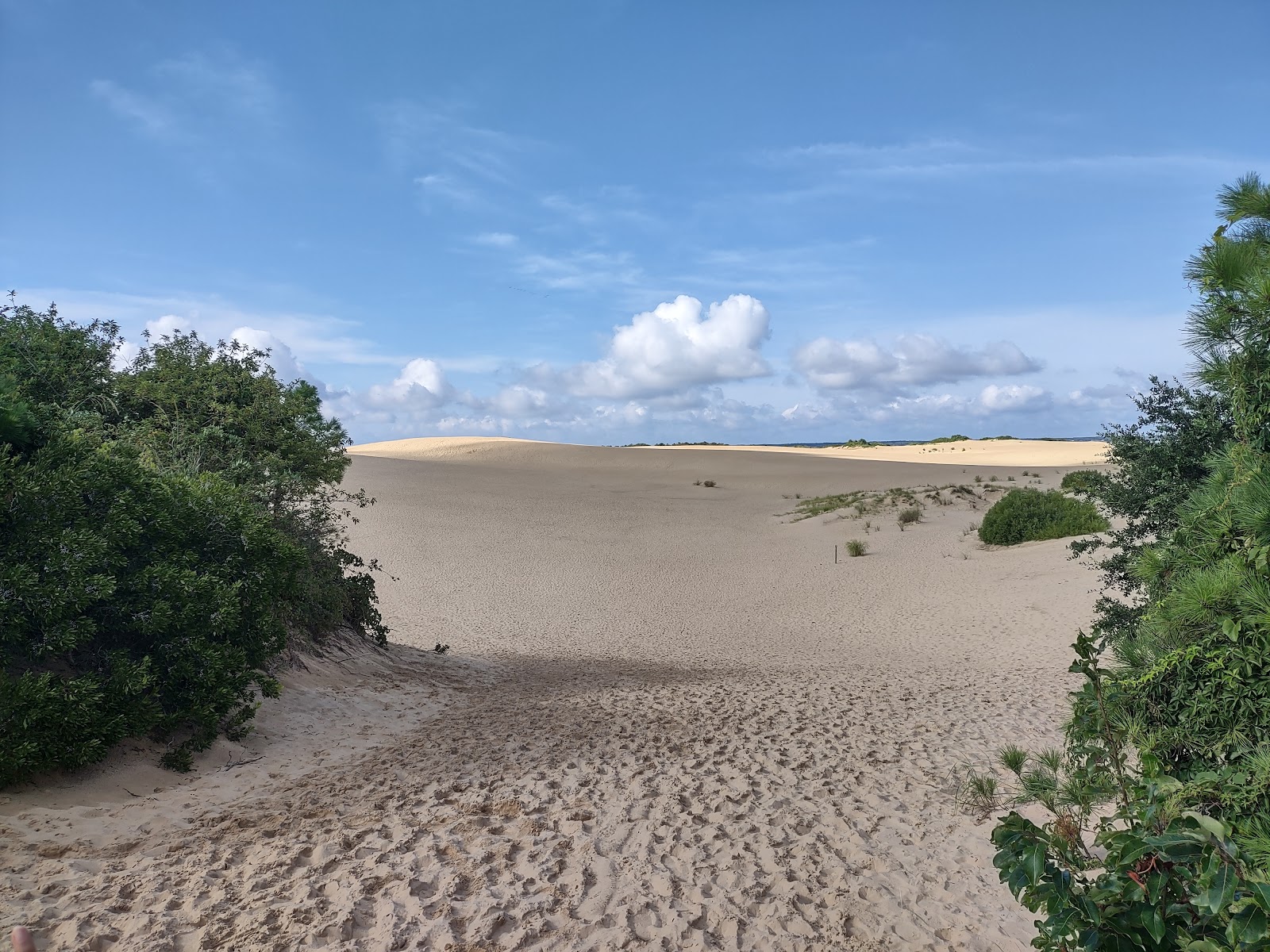 Jockey's Ridge State Park - Bluff Shoals Motel